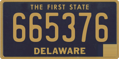 DE license plate 665376
