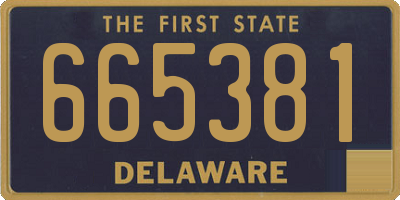 DE license plate 665381