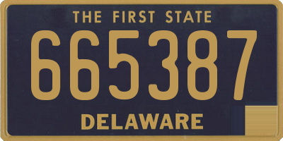 DE license plate 665387