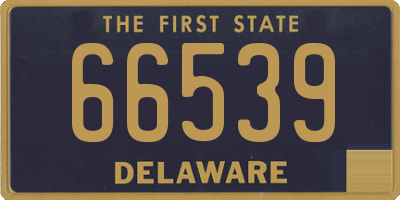 DE license plate 66539