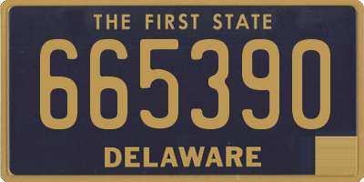 DE license plate 665390