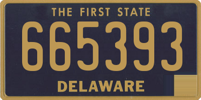 DE license plate 665393