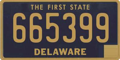 DE license plate 665399