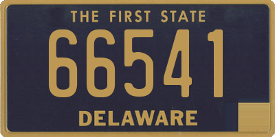 DE license plate 66541
