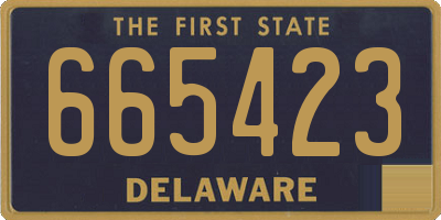 DE license plate 665423