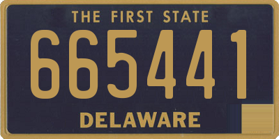 DE license plate 665441