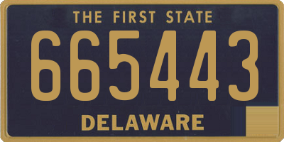 DE license plate 665443