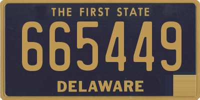 DE license plate 665449