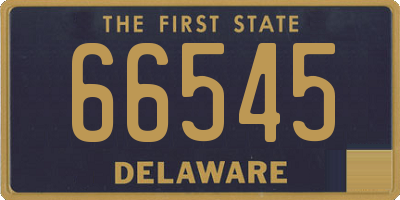 DE license plate 66545