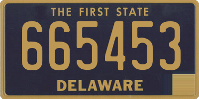 DE license plate 665453