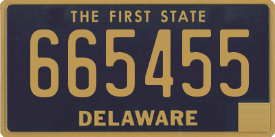 DE license plate 665455
