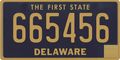 DE license plate 665456