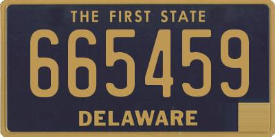 DE license plate 665459