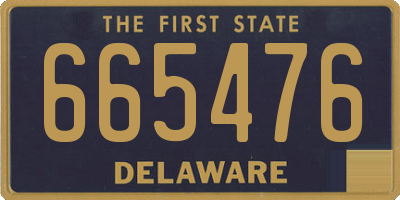 DE license plate 665476