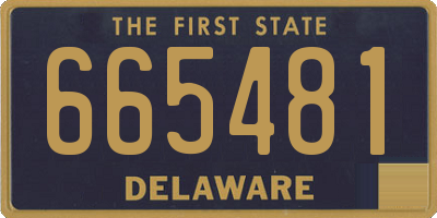 DE license plate 665481