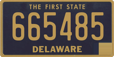 DE license plate 665485