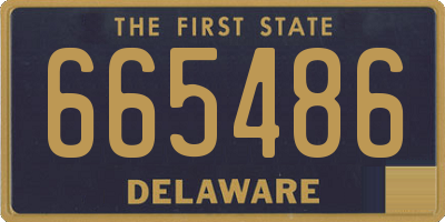DE license plate 665486