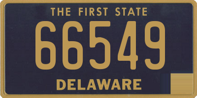 DE license plate 66549