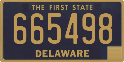 DE license plate 665498