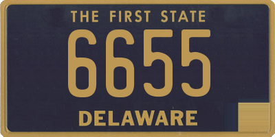DE license plate 6655