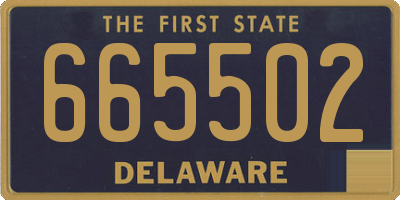 DE license plate 665502