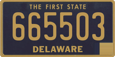 DE license plate 665503