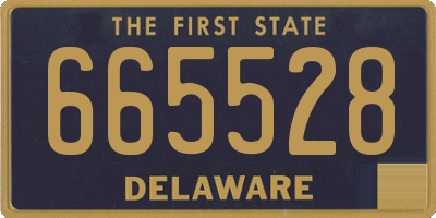 DE license plate 665528