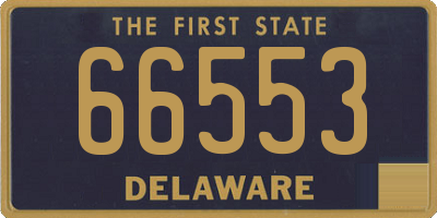 DE license plate 66553