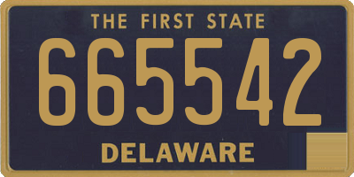 DE license plate 665542
