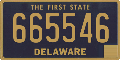 DE license plate 665546