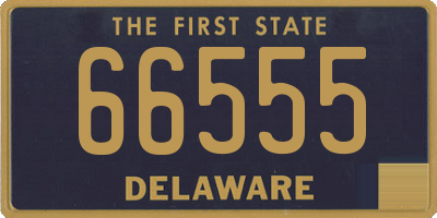 DE license plate 66555