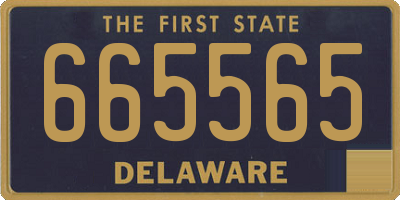 DE license plate 665565