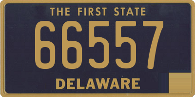 DE license plate 66557