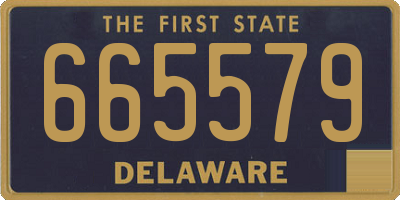 DE license plate 665579