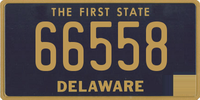 DE license plate 66558