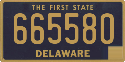DE license plate 665580