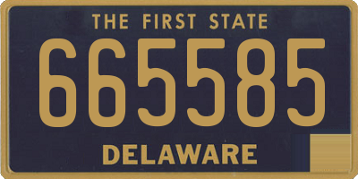 DE license plate 665585