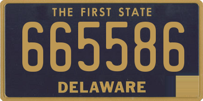 DE license plate 665586