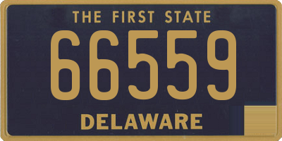 DE license plate 66559