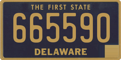 DE license plate 665590