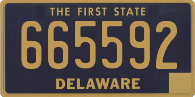 DE license plate 665592