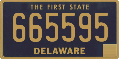 DE license plate 665595