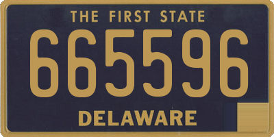 DE license plate 665596