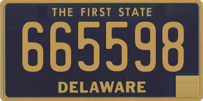 DE license plate 665598