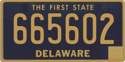 DE license plate 665602