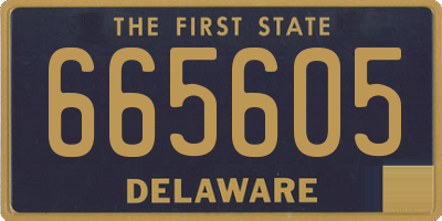 DE license plate 665605