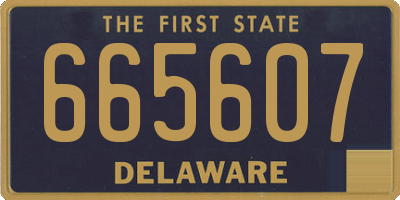 DE license plate 665607