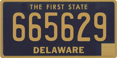 DE license plate 665629