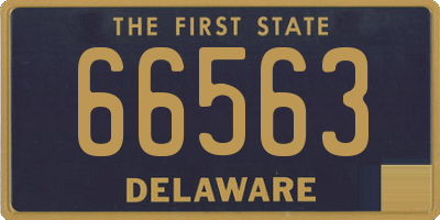 DE license plate 66563