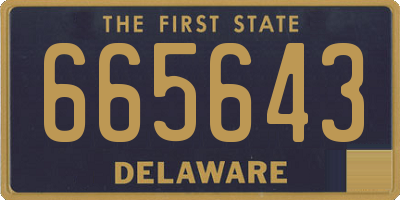 DE license plate 665643